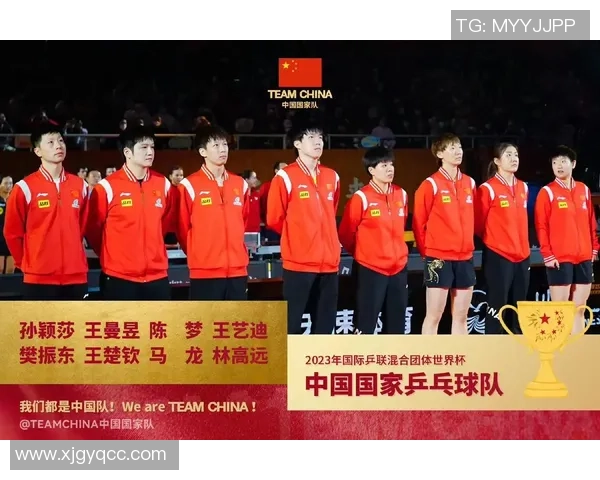 成都乒乓球队挑战赛精彩点评展现力量与团队精神的完美结合