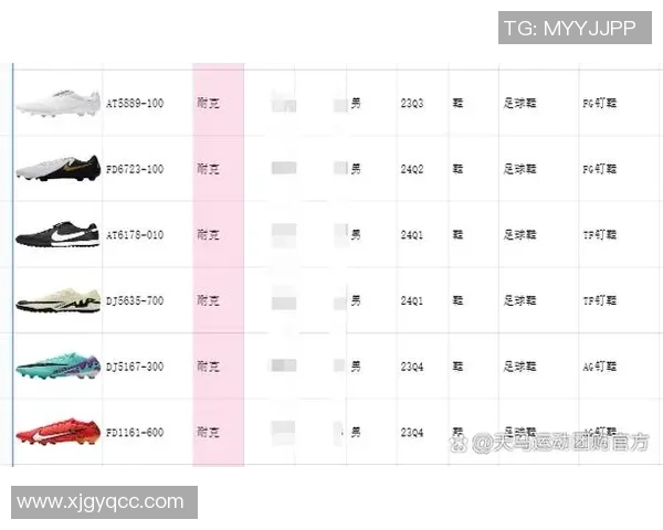 香港足球明星队各成员职责与分工详解图表分析